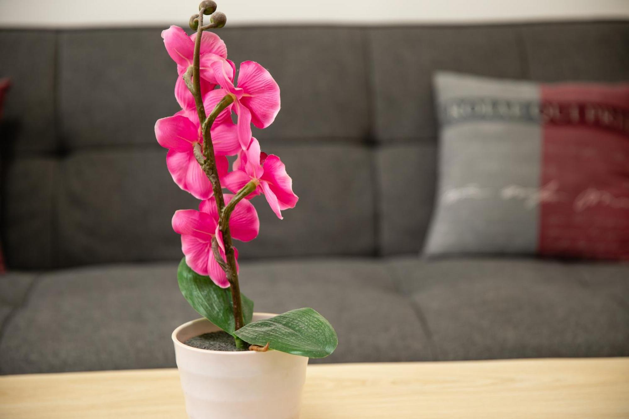 Apartment Rueppgasse Leopoldstadt Wien Экстерьер фото